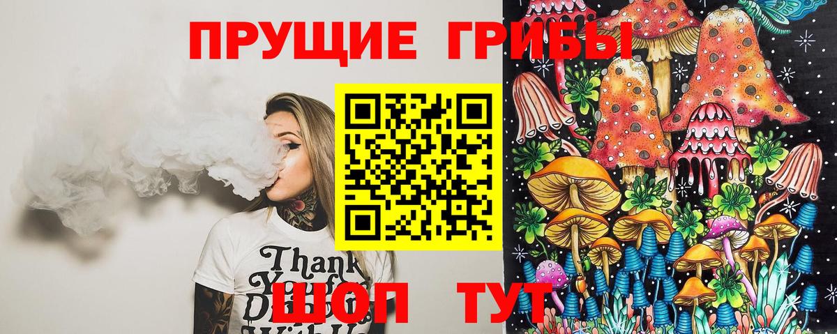 Псилоцибиновые грибы Psilocybe Кимовск