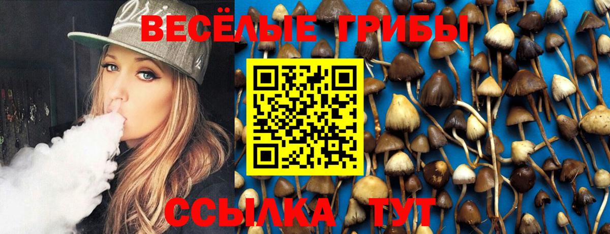 Кимовск  Псилоцибиновые грибы GOLDEN TEACHER  Псилоцибиновые грибы мухоморы  Вход с VPN 